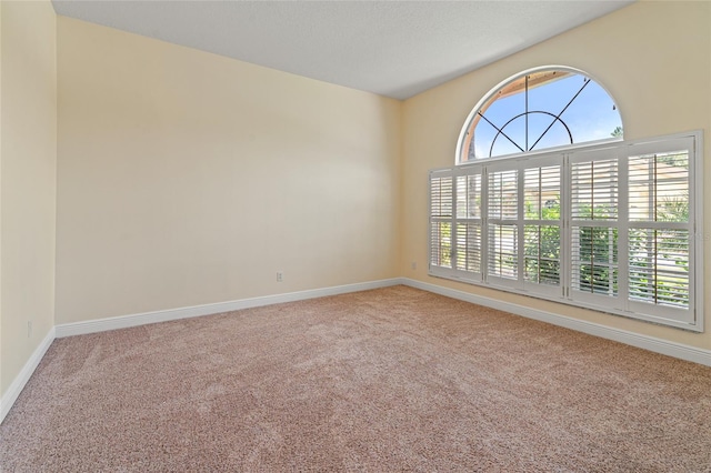 1406 Deerbourne Dr, Wesley Chapel, FL 33543 - photo 8