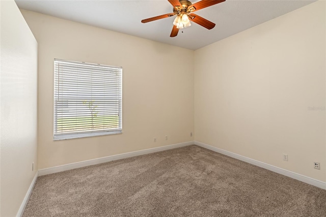 1406 Deerbourne Dr, Wesley Chapel, FL 33543 - photo 28