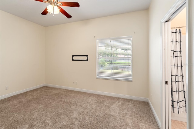 1406 Deerbourne Dr, Wesley Chapel, FL 33543 - photo 30