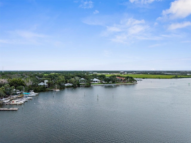 1705 Meyers Cove Dr, Tarpon Springs, FL 34689 - photo 72