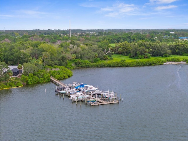 1705 Meyers Cove Dr, Tarpon Springs, FL 34689 - photo 68