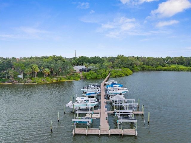 1705 Meyers Cove Dr, Tarpon Springs, FL 34689 - photo 69