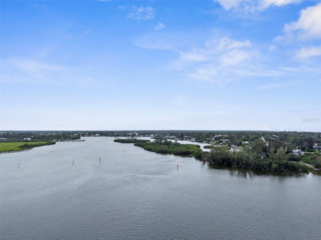 1705 Meyers Cove Dr, Tarpon Springs, FL 34689 - photo 70