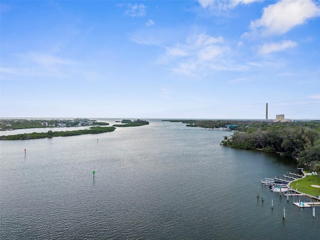 1705 Meyers Cove Dr, Tarpon Springs, FL 34689 - photo 71