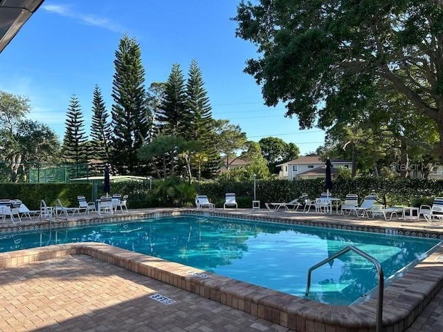 2980 Haines Bayshore Rd Unit 134, Clearwater, FL 33760 - photo 11
