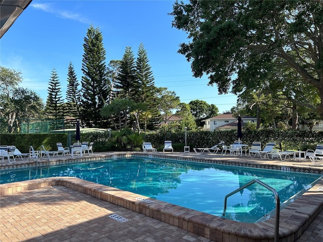 2980 Haines Bayshore Rd Unit 134, Clearwater, FL 33760 - photo 14