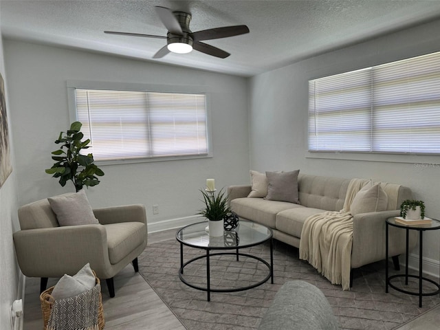 2921 Sample Loop, Tampa, FL 33619 - photo 5