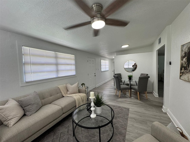 2921 Sample Loop, Tampa, FL 33619 - photo 9