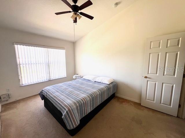 12736 Country Brook Ln, Tampa, FL 33625 - photo 18