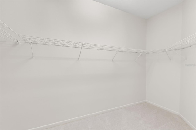 15711 Muirfield Dr, Odessa, FL 33556 - photo 34