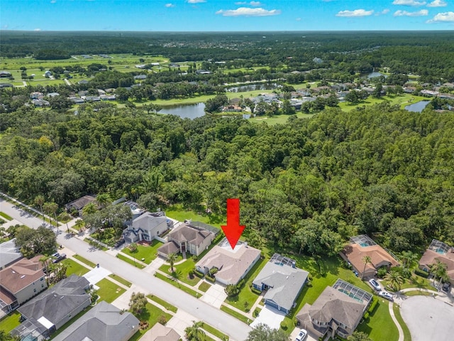 15711 Muirfield Dr, Odessa, FL 33556 - photo 47