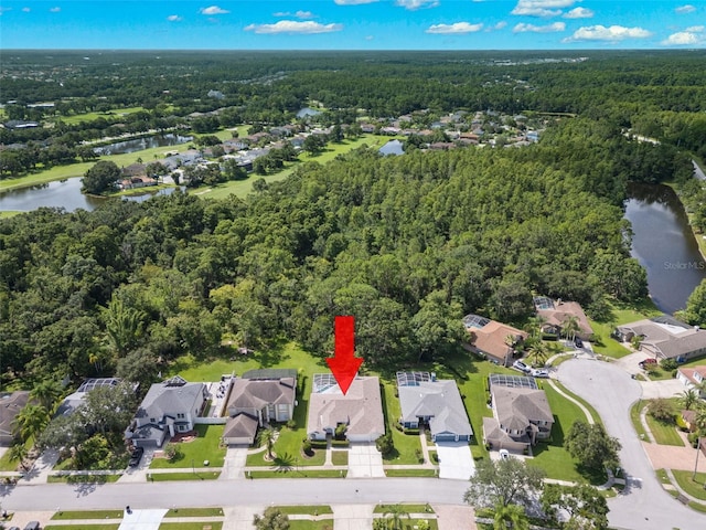 15711 Muirfield Dr, Odessa, FL 33556 - photo 48