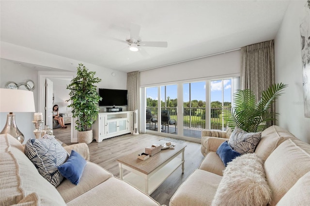 960 Starkey Rd Unit 8206, Largo, FL 33771 - photo 19