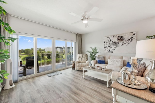 960 Starkey Rd Unit 8206, Largo, FL 33771 - photo 20