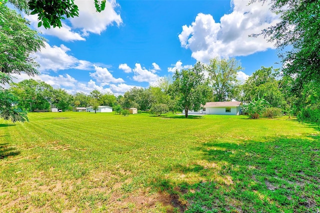 36345 Urban Rd, Zephyrhills, FL 33541 - photo 41