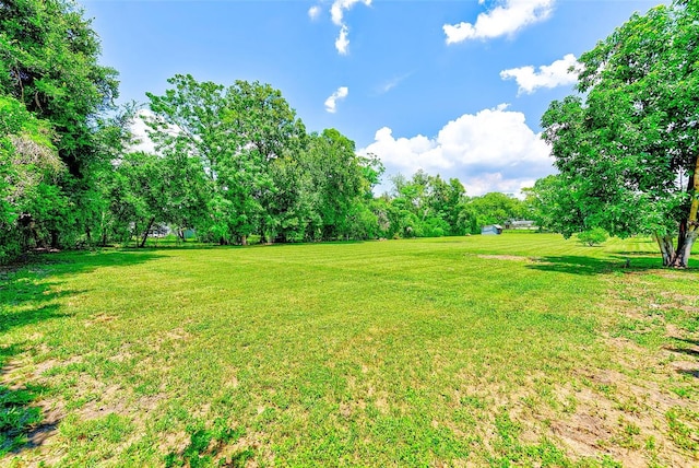 36345 Urban Rd, Zephyrhills, FL 33541 - photo 45