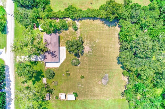 36345 Urban Rd, Zephyrhills, FL 33541 - photo 55