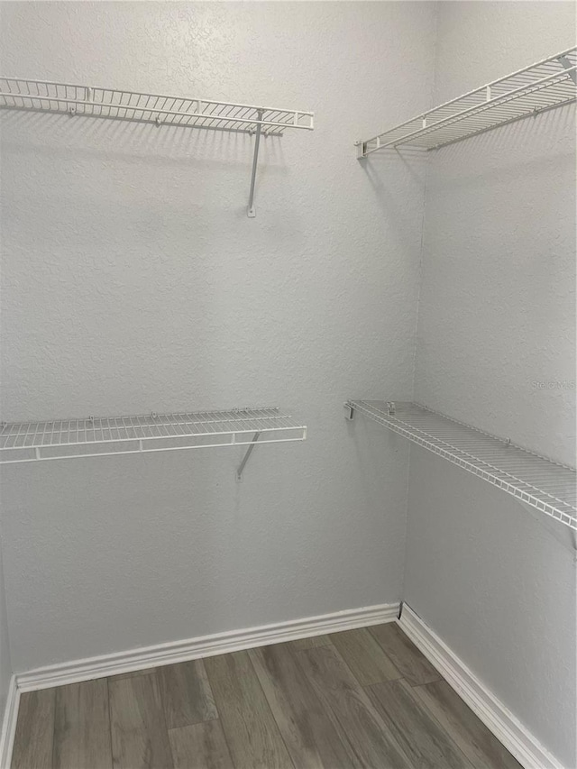 4312 Bayside Vlg Unit 204, Tampa, FL 33615 - photo 17