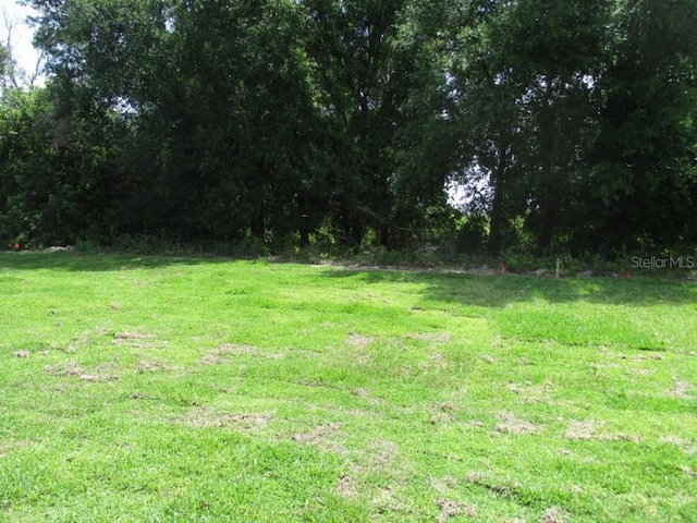 5524 Blue Azure Dr, Wimauma, FL 33598 - photo 36