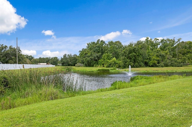 4802 Woods Landing Ln, Tampa, FL 33619 - photo 2