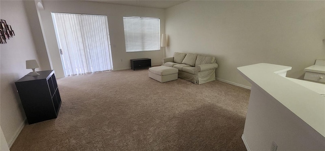 1713 Sassafras Dr, Wesley Chapel, FL 33543 - photo 7