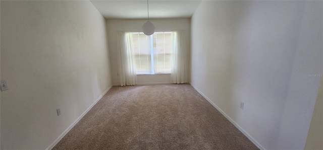 1713 Sassafras Dr, Wesley Chapel, FL 33543 - photo 12