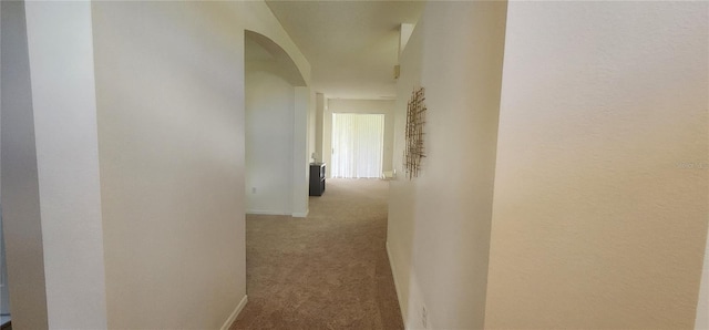 1713 Sassafras Dr, Wesley Chapel, FL 33543 - photo 13
