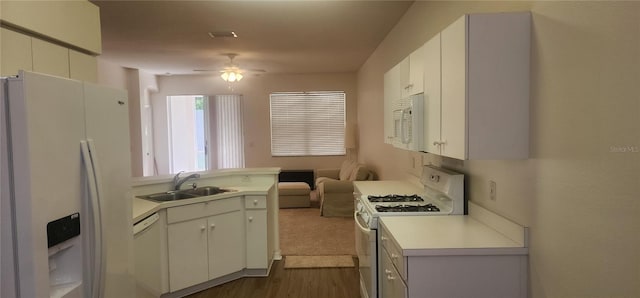 1713 Sassafras Dr, Wesley Chapel, FL 33543 - photo 14