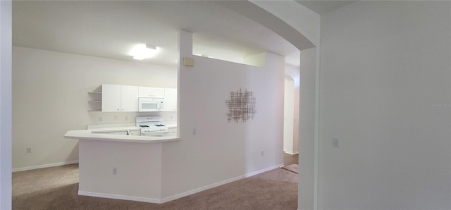 1713 Sassafras Dr, Wesley Chapel, FL 33543 - photo 20