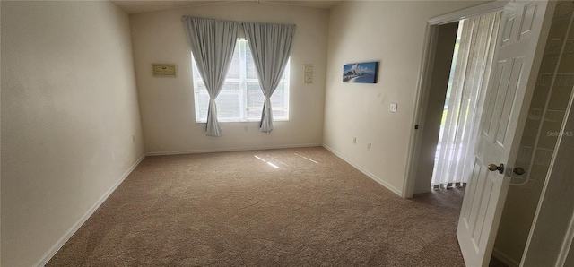 1713 Sassafras Dr, Wesley Chapel, FL 33543 - photo 27