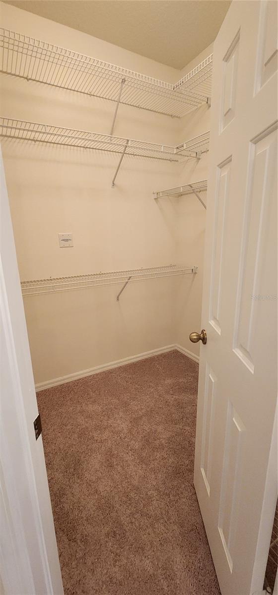 1713 Sassafras Dr, Wesley Chapel, FL 33543 - photo 33