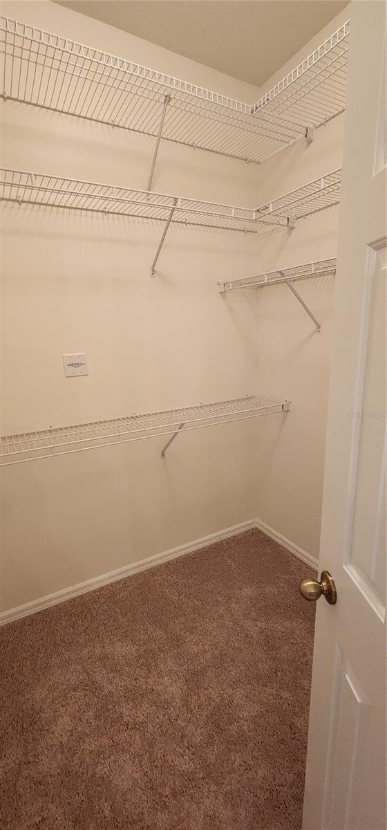 1713 Sassafras Dr, Wesley Chapel, FL 33543 - photo 35