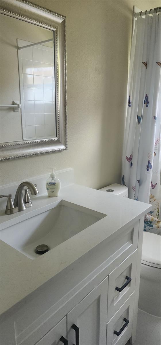 1713 Sassafras Dr, Wesley Chapel, FL 33543 - photo 40