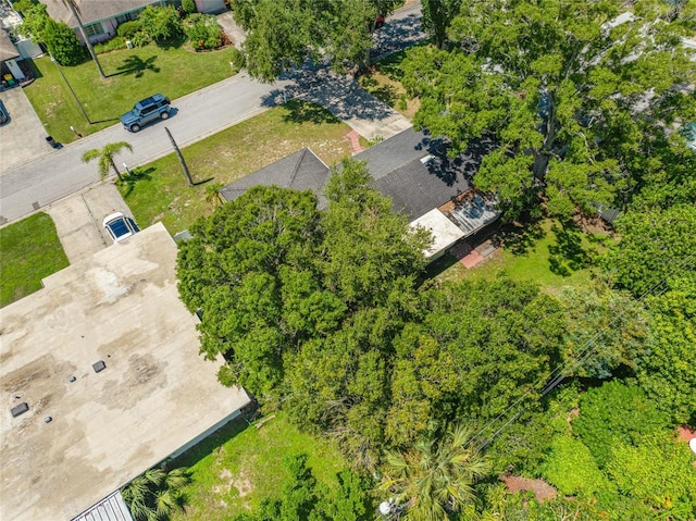 2141 Indian Ave S, Belleair Bluffs, FL 33770 - photo 61