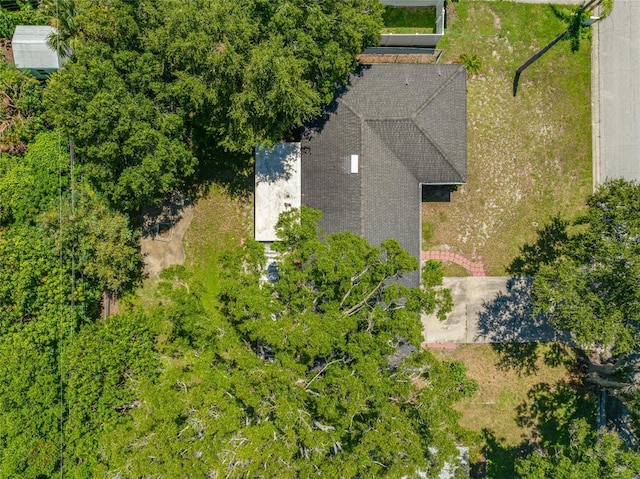 2141 Indian Ave S, Belleair Bluffs, FL 33770 - photo 62