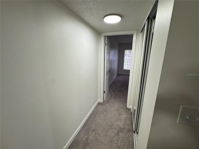 4405 Vieux Carre Cir Unit 46, Tampa, FL 33613 - photo 34