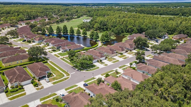 26346 Whirlaway Ter, Wesley Chapel, FL 33544 - photo 43