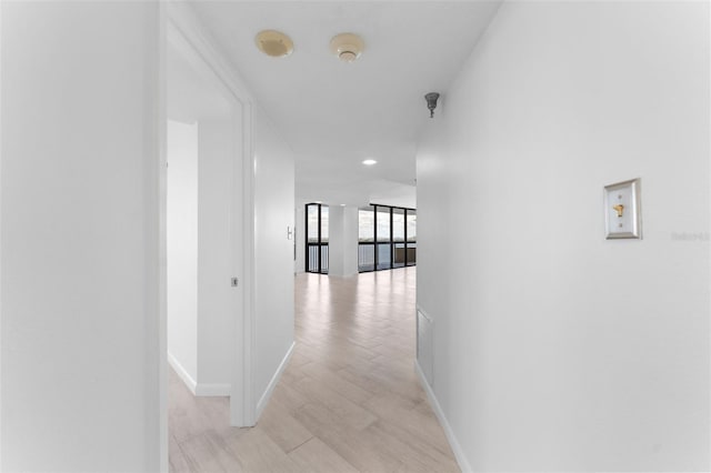 2413 Bayshore Blvd Unit 1401, Tampa, FL 33629 - photo 15