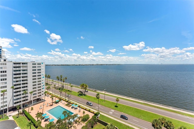 2413 Bayshore Blvd Unit 1401, Tampa, FL 33629 - photo 34