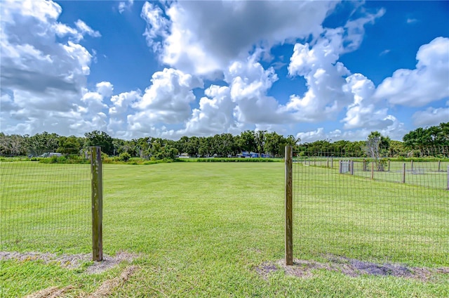 201 Moccasin Hollow Rd, Lithia, FL 33547 - photo 8