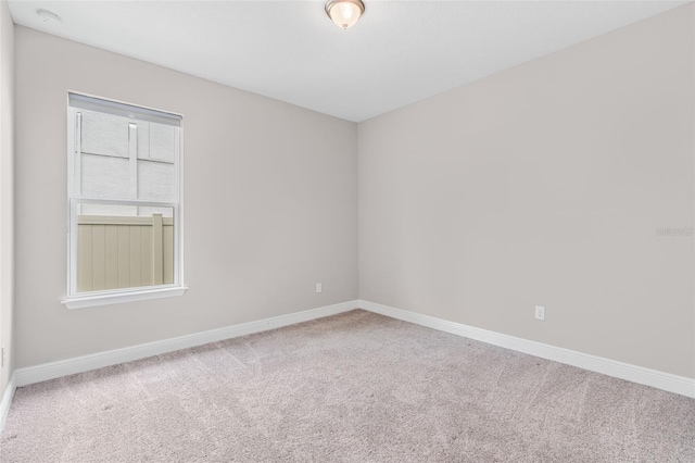 18208 Roseate Dr, Lutz, FL 33558 - photo 32