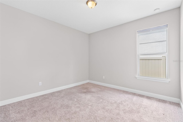 18208 Roseate Dr, Lutz, FL 33558 - photo 36