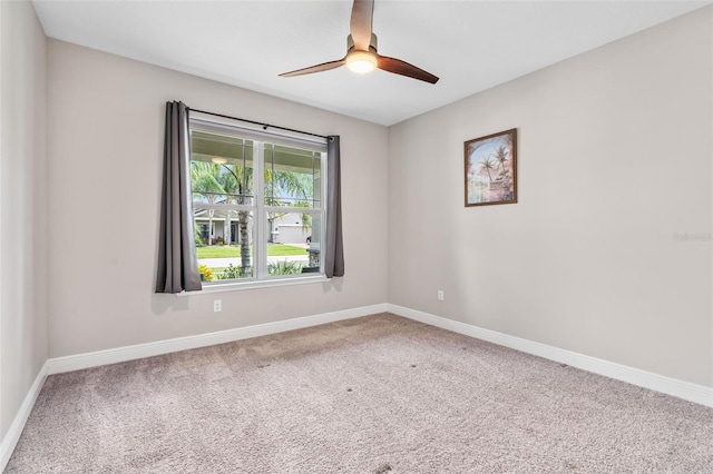 18208 Roseate Dr, Lutz, FL 33558 - photo 39