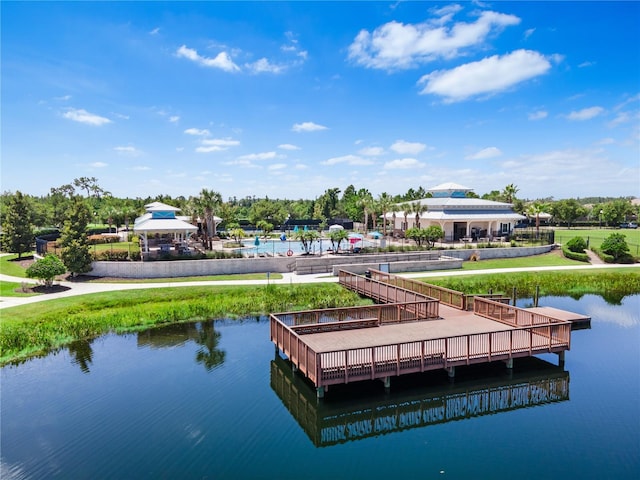 18208 Roseate Dr, Lutz, FL 33558 - photo 51