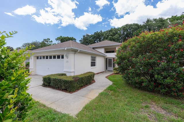 1049 Trafalgar Dr, New Port Richey, FL 34655 - photo 4