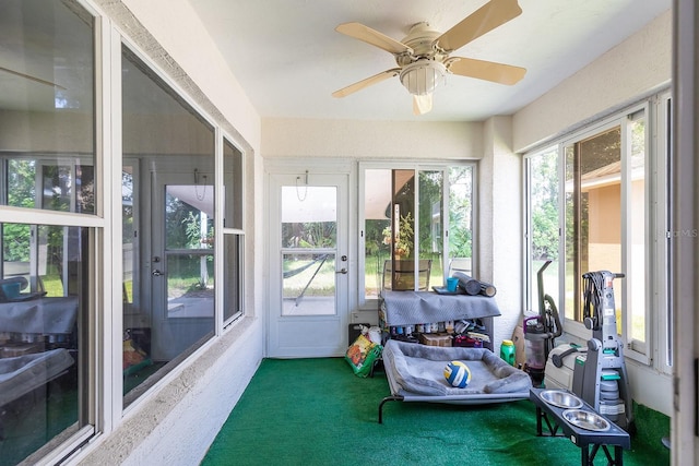 1049 Trafalgar Dr, New Port Richey, FL 34655 - photo 34
