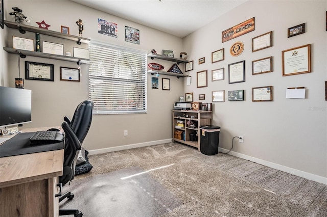 7999 Lago Mist Way, Wesley Chapel, FL 33545 - photo 17