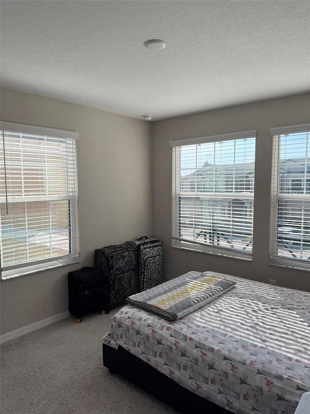 30086 Southwell Ln, Wesley Chapel, FL 33543 - photo 35