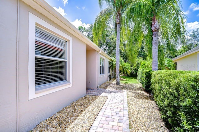 8005 Shaddock Pl, Land O Lakes, FL 34637 - photo 2