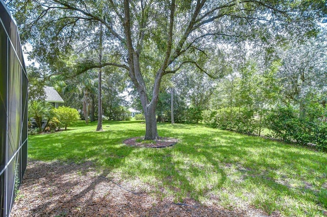 8005 Shaddock Pl, Land O Lakes, FL 34637 - photo 4